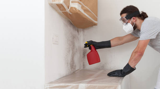 Professional Attic Mold Remediation technician working in Elizabeth, PA