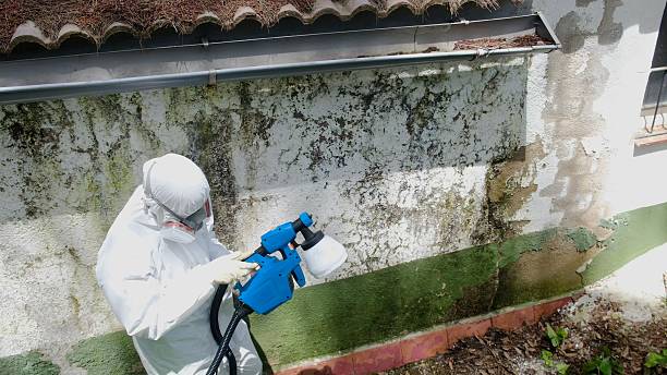 Top rated local Attic Mold Remediation specialists in Elizabeth, PA